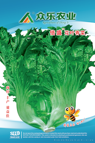  花叶青菜