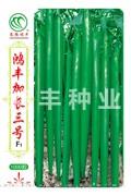 鸿丰加长三号——线椒种子