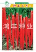 鸿丰辣翠三号——线椒种子