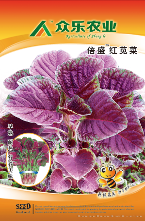   红苋菜