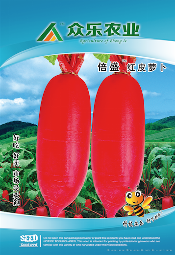 倍盛红皮萝卜：