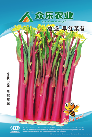  红菜苔