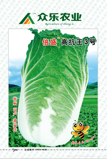 倍盛高抗王3号