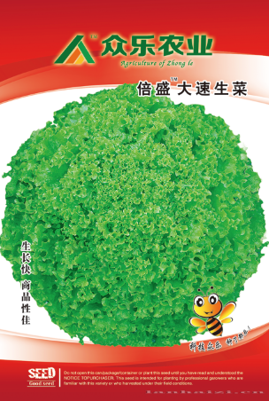 倍盛大速生菜
