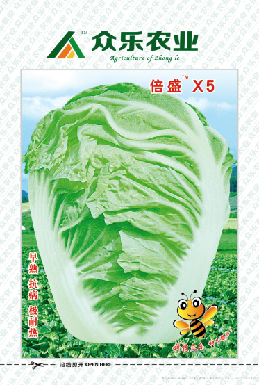 倍盛棒棒