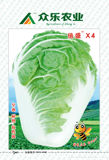 倍盛X4