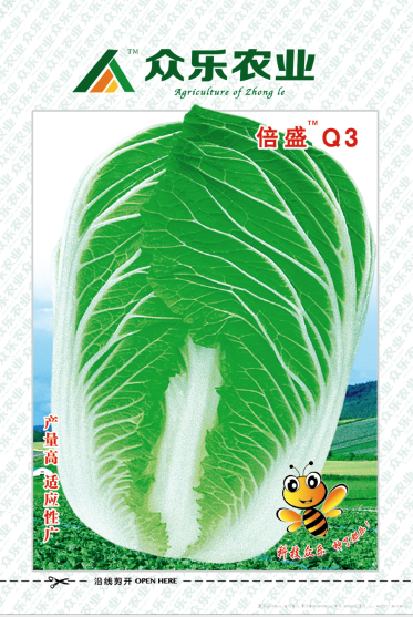 倍盛Q3