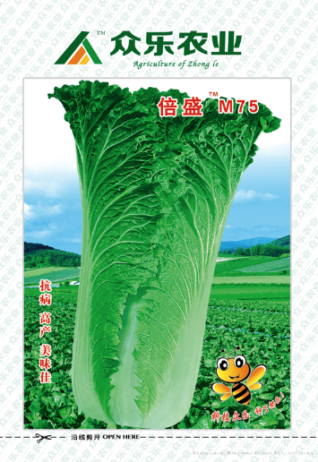 倍盛M75