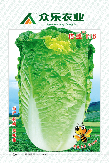 倍盛H8