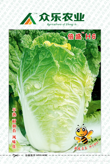 倍盛H6 