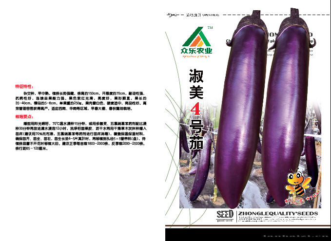 淑美4号茄