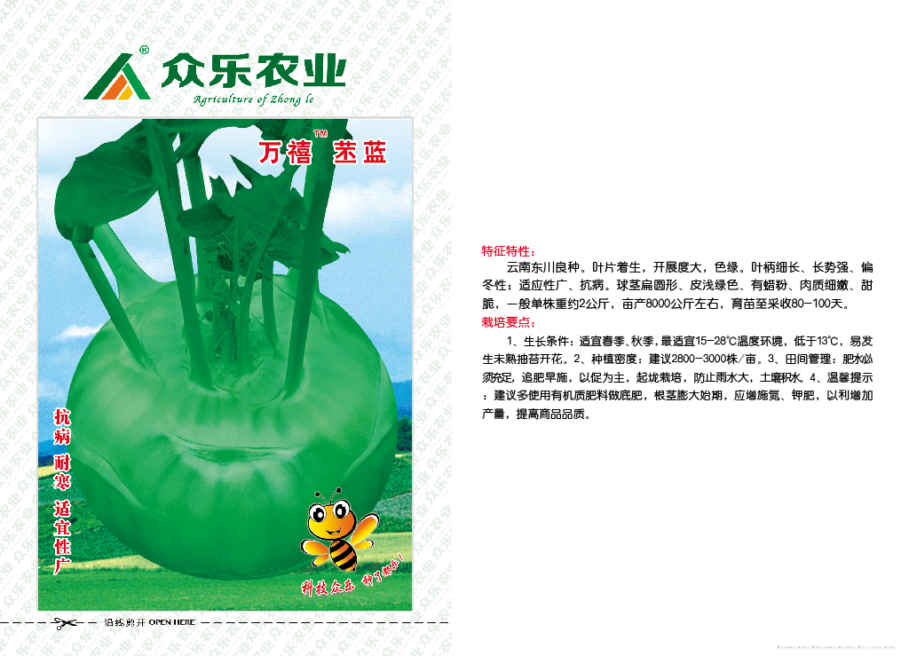 万禧苤蓝