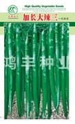 加长大辣三——线椒种子
