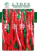 辣翠四号——线椒种子