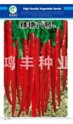 辣艳六号——线椒种子