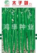 太子剑——线椒种子