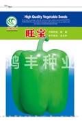旺宝——甜椒种子