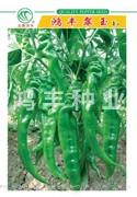 鸿丰翠玉——螺丝椒种子