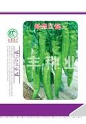 鸿丰巨龙——螺丝椒种子