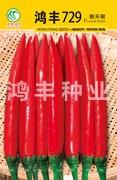 鸿丰729——朝天椒种子