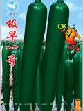 极早一号--辣椒种子