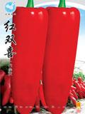 红双喜--辣椒种子