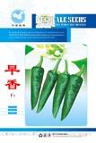 早香--辣椒种子