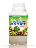 细胞分裂素