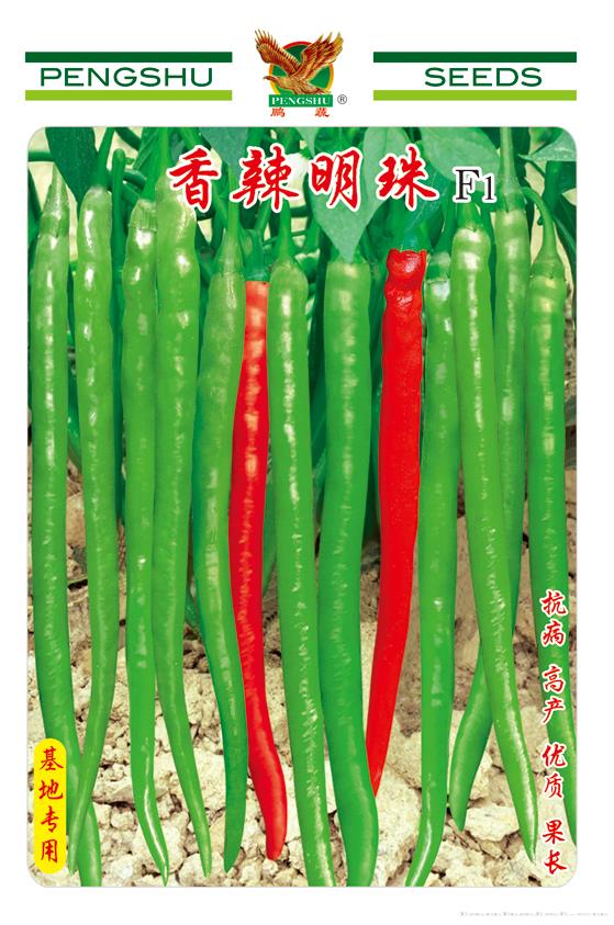  供应香辣明珠—辣椒种子