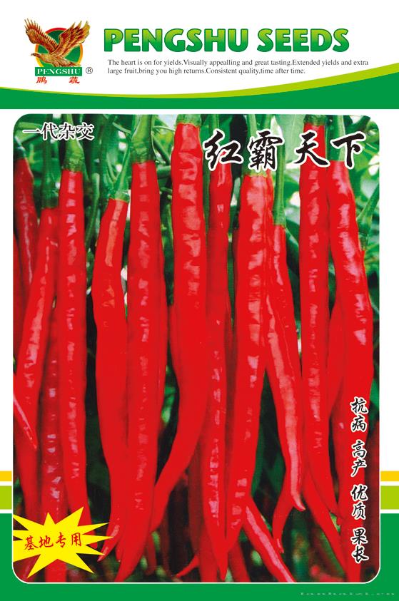  供应红霸天下—辣椒种子