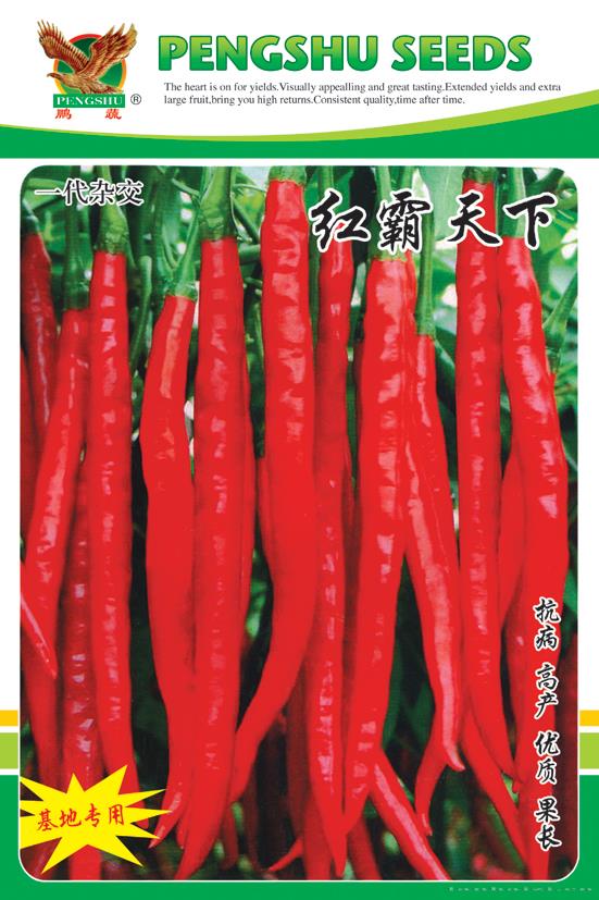  供应红霸天下—辣椒种子