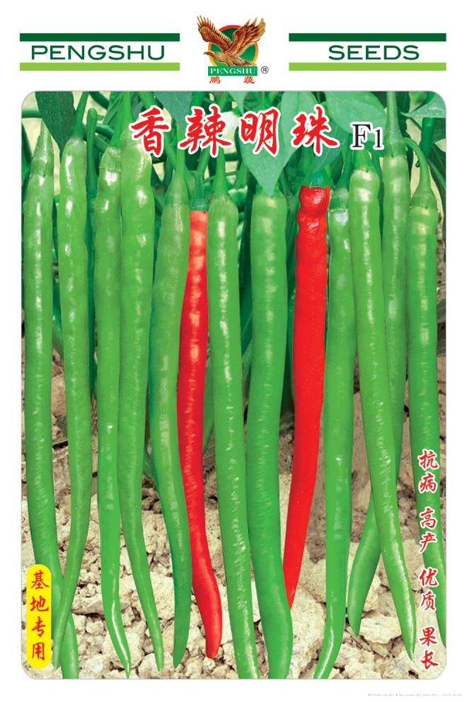  供应香辣明珠—辣椒种子