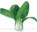 平成五号——青菜 