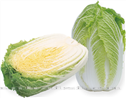 CR黄雅——白菜 