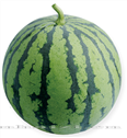 巨峰——西瓜 