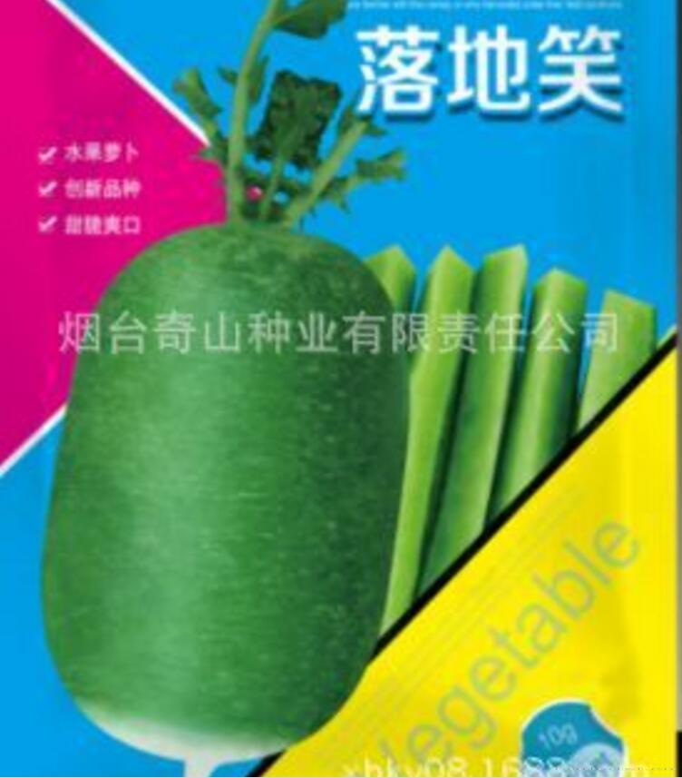 奇山落地笑水果萝卜种子