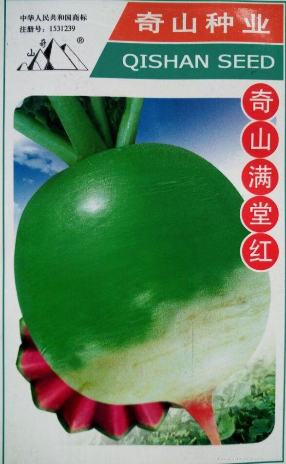 红心绿皮水果萝卜种子满堂红 奇山满堂红水果萝卜