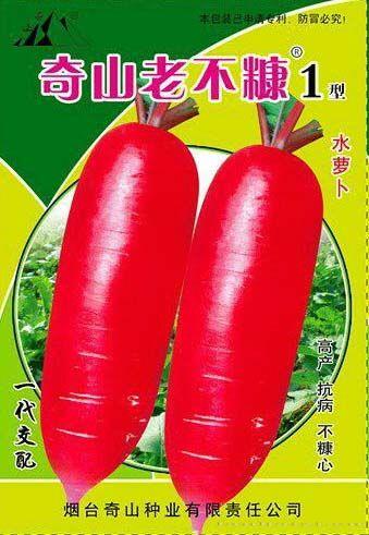 奇山老不糠一号水萝卜种子