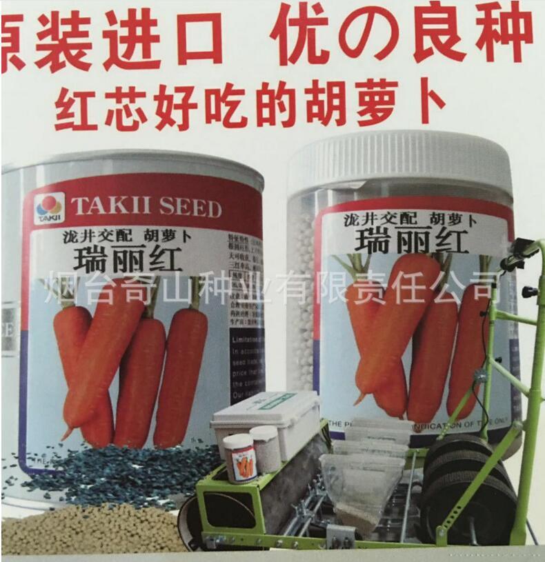 原装进口瑞丽红胡萝卜种子
