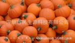 甜蜜南瓜种子 板栗南瓜 红栗南瓜