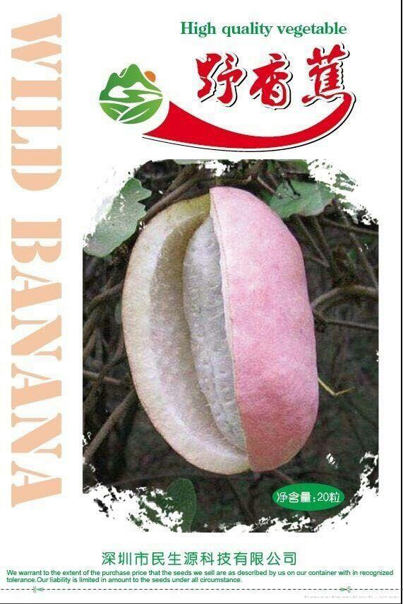 野香蕉种子