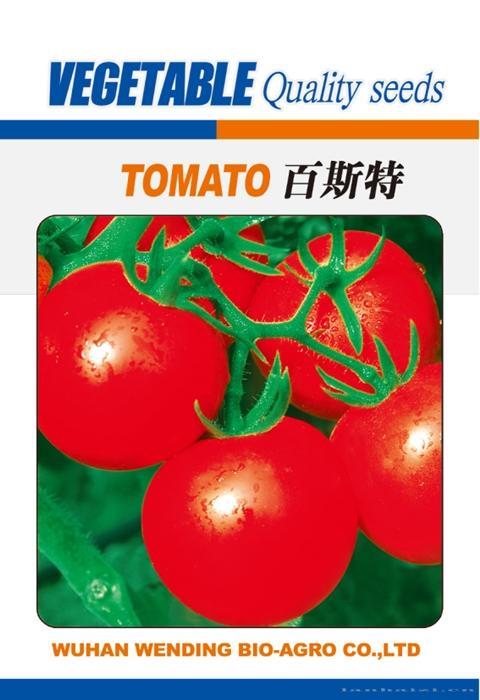 百斯特