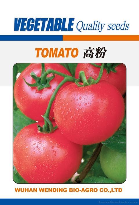 高粉