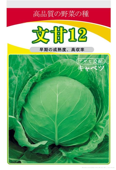 文甘12