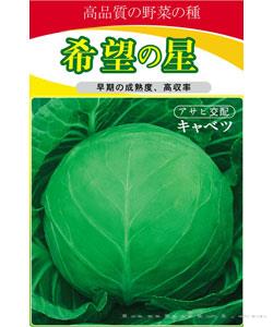 希望之星