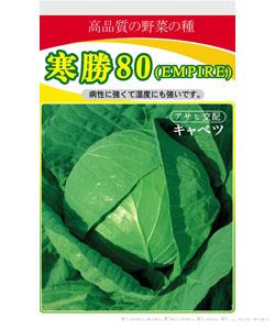 寒胜80