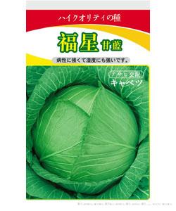 福星甘蓝