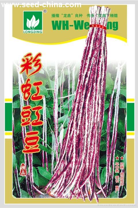 彩虹豇豆