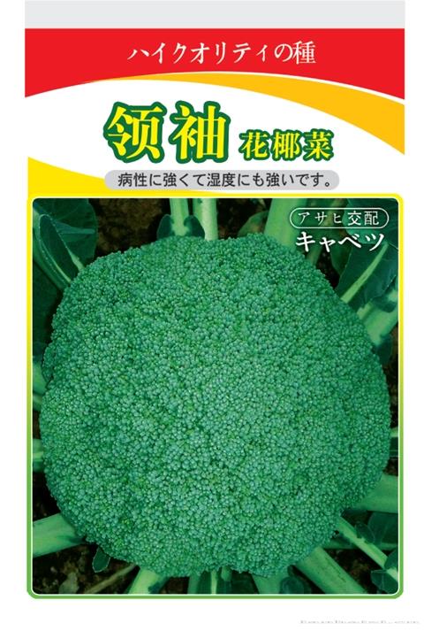 领袖