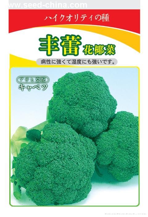 丰雷